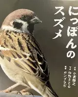 约基奇阿森纳夺冠细节曝光(约基奇5年4夺常规赛mvp)